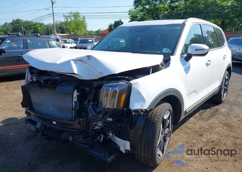 2024 Kia Telluride S from USA, damaged, VIN 5XYP6DGC2RG537531